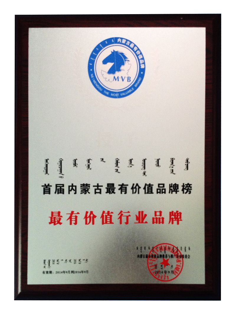 19、2014最有價(jià)值行業(yè)品牌（獎(jiǎng)牌）.jpg