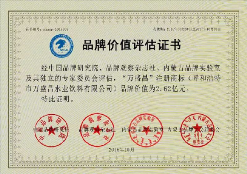 35、2016年價(jià)值2.62億.jpg