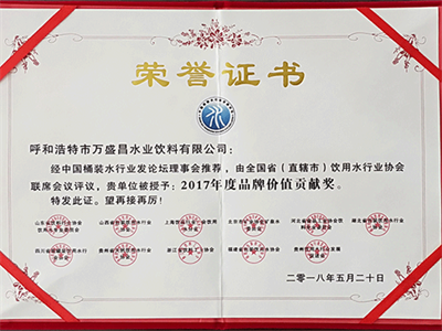 2018年520大會品牌價值貢獻(xiàn)