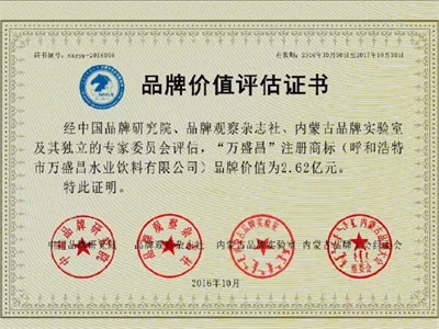 2016年價(jià)值2.62億
